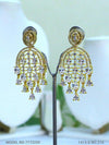 Precious Gift of CZ Earrings